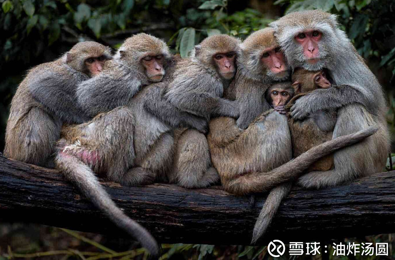 九游体育下载-转折点！奥兰多魔术调整名单，英超赛后攻防权衡，气氛紧张，高层口径保持一致(金州勇士vs奥兰多魔术)